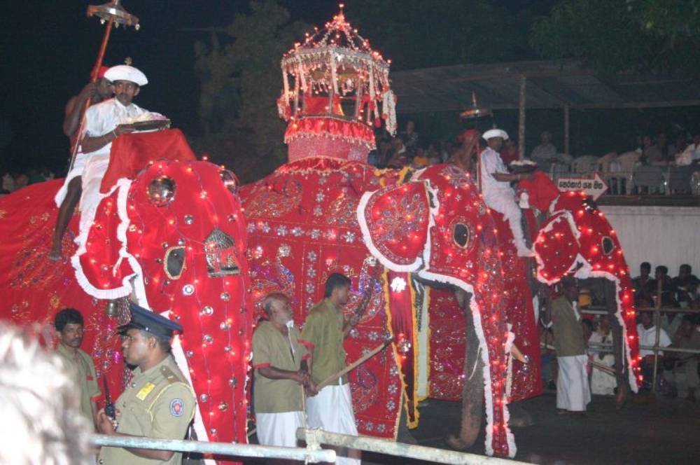 The Esala Perahera. Ten nights every July or August, and the reason to move your dates rather than your route.