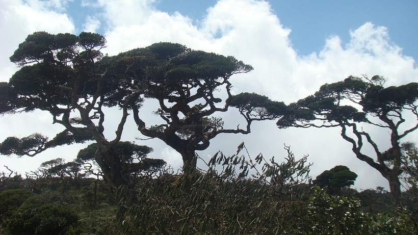 Horton Plains National Park