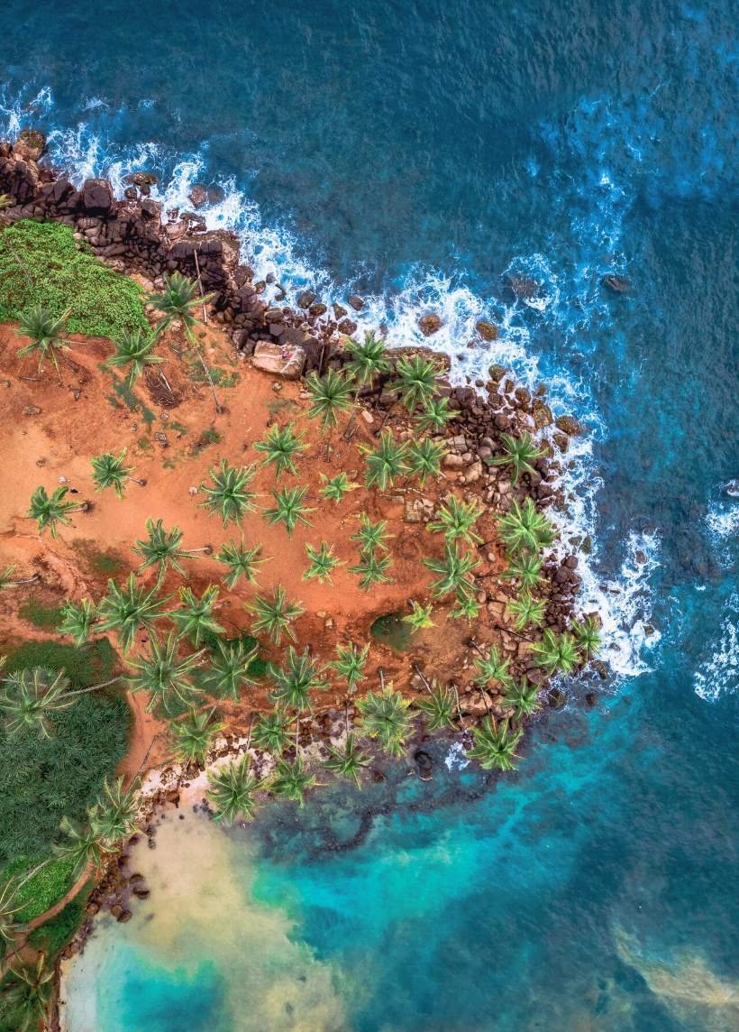 Coconut Tree Hills