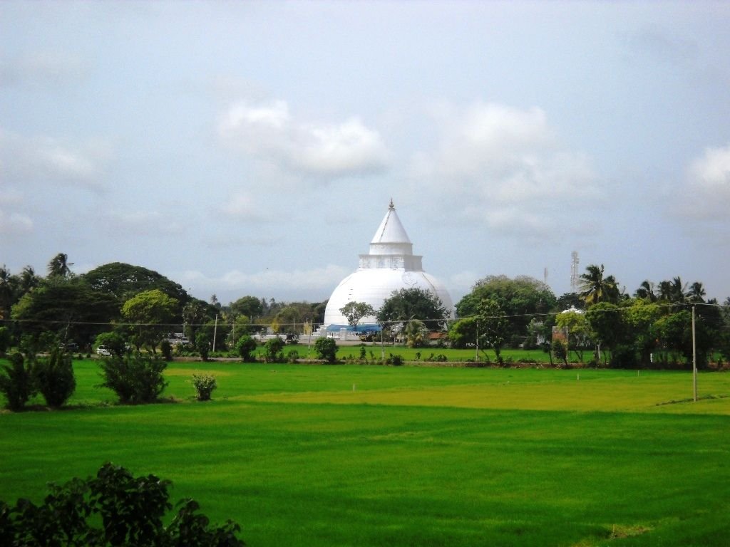 The white dome over the paddy. This is the view most visitors have of it — through a car window, on the way to a jeep.