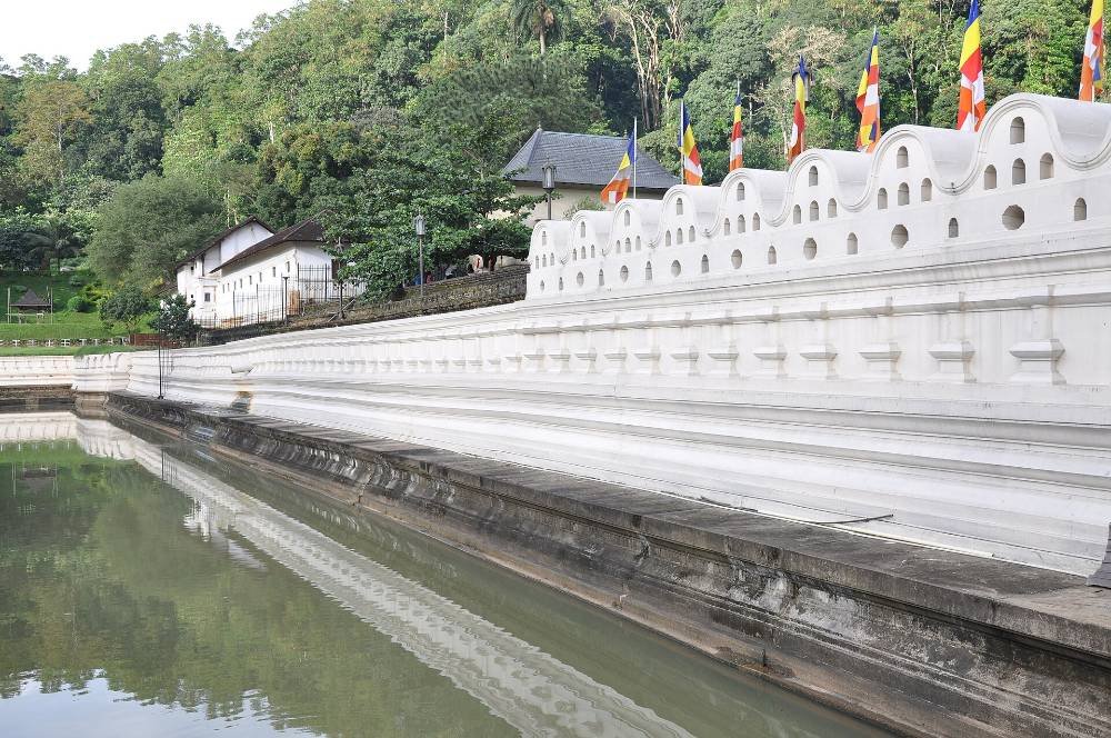 Sri Dalada Maligawa. Go to a service — 05:30, 09:30 or 18:30 — not between them.