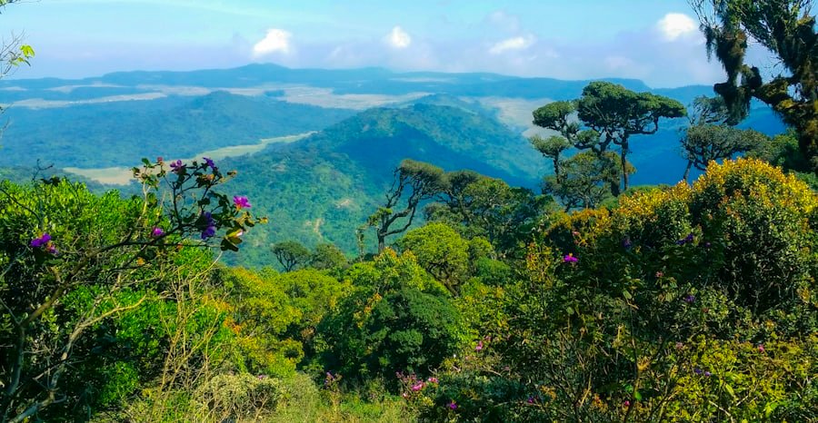 Horton Plains & World’s End