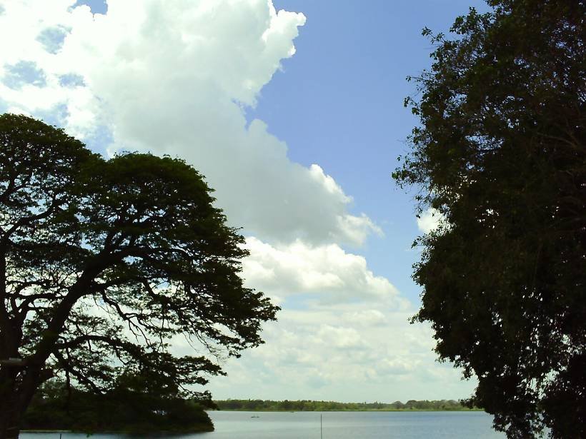 Tissa Wewa. The tank was dug in the 3rd century BCE and still waters the paddy today.